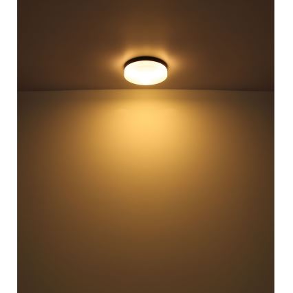 Globo - Kúpeľňové svietidlo 3xE27/60W/230V pr. 30 cm IP44