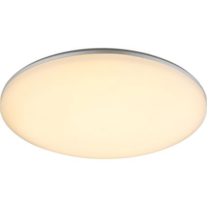 Globo - LED Vonkajšie stropné svietidlo 1xLED/24W/230V IP54