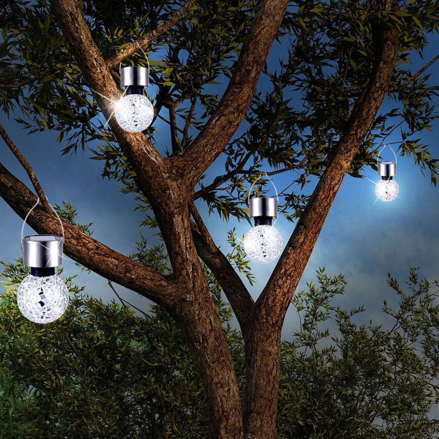 Štyri solárne lampy visia na konároch stromu. Lampy sú guľového tvaru s textúrovaným povrchom a vydávajú svetlo. Strom sa nachádza vonku v prírode za súmraku.