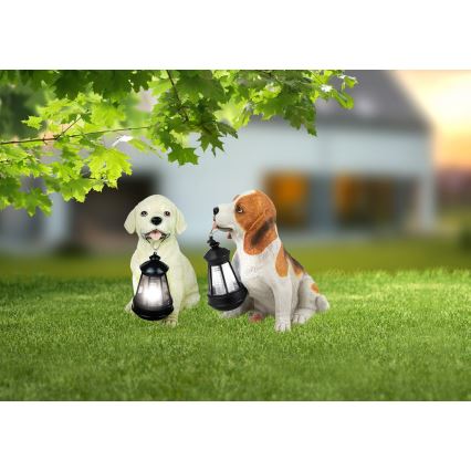 Dva psy držia solárne lampáše. Pes labrador drží lampáš v papuli, beagle drží lampáš v papuli. Psy sú umiestnené na zelenej tráve pred domom.