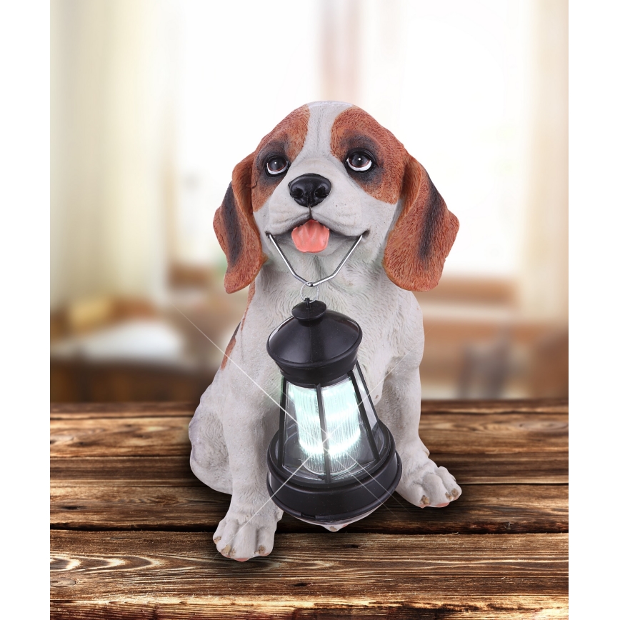 Figúrka psa drží solárnu lampu. Pes sedí na drevenom povrchu. Lampa je malá a má svetlo.