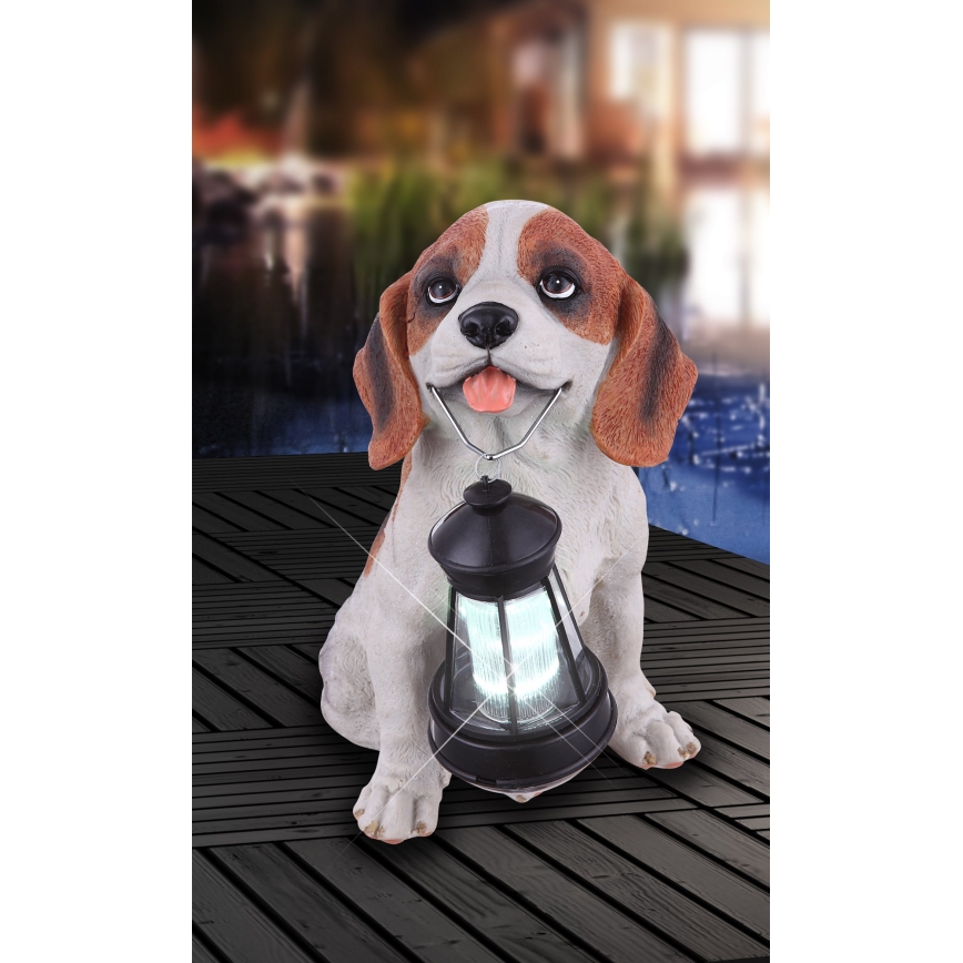 Soška šteniatka drží solárnu lampu. Šteniatko sedí na drevenom povrchu pri bazéne.