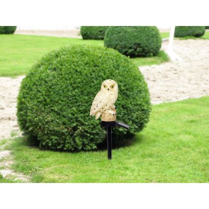 Globo - LED Solárne svietidlo LED/0,06W/3V IP44 sova