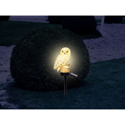 Globo - LED Solárne svietidlo LED/0,06W/3V IP44 sova