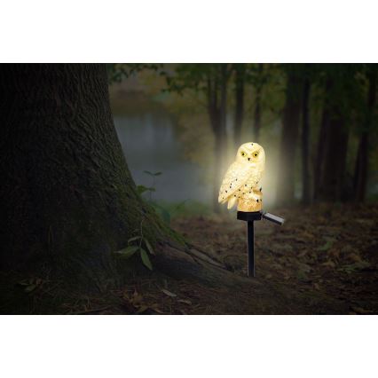 Globo - LED Solárne svietidlo LED/0,06W/3V IP44 sova