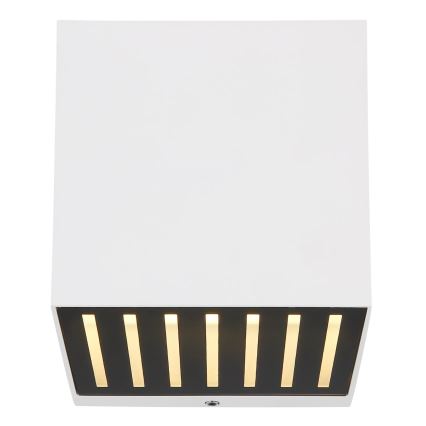 Globo - LED vonkajšie nástenné svietidlo LED/6W/230V IP54 biela