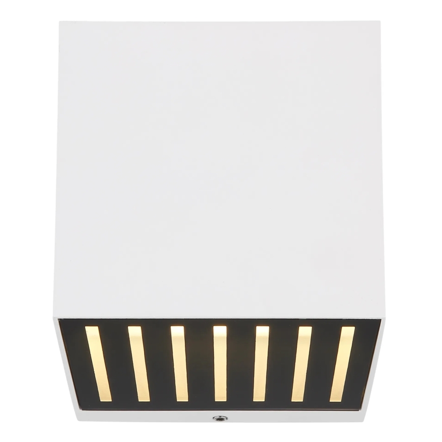 Globo - LED vonkajšie nástenné svietidlo LED/6W/230V IP54 biela