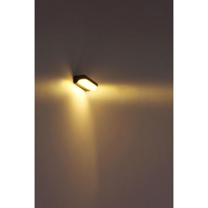 Globo - LED Vonkajšie nástenné svietidlo LED/10W/230V IP54
