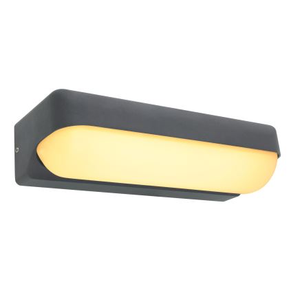 Globo - LED Vonkajšie nástenné svietidlo LED/10W/230V IP54