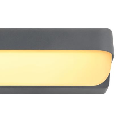 Globo - LED Vonkajšie nástenné svietidlo LED/10W/230V IP54