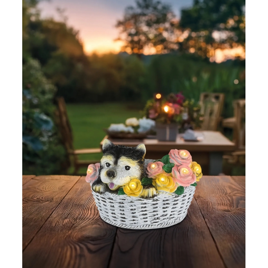 Globo - LED solárne svietidlo LED/1,2V IP44 300 mAh pes