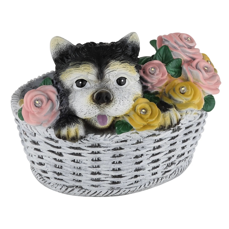 Globo - LED solárne svietidlo LED/1,2V IP44 300 mAh pes