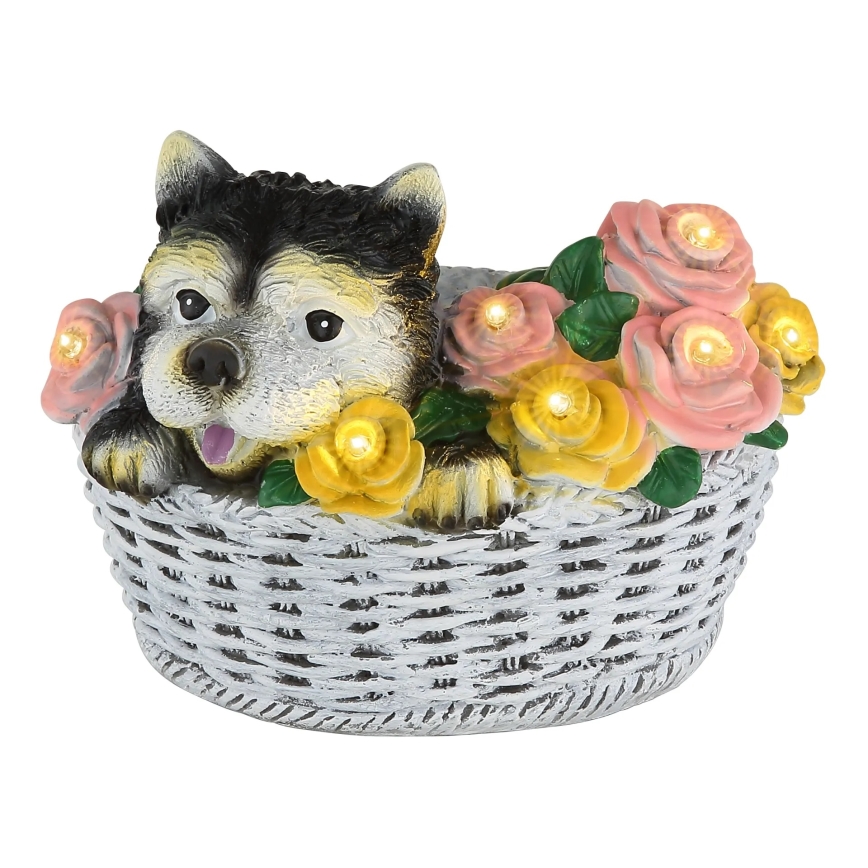 Globo - LED solárne svietidlo LED/1,2V IP44 300 mAh pes