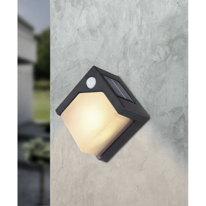 Globo - LED Solárne svietidlo so senzorom LED/0,48W/3V IP44 600 mAh