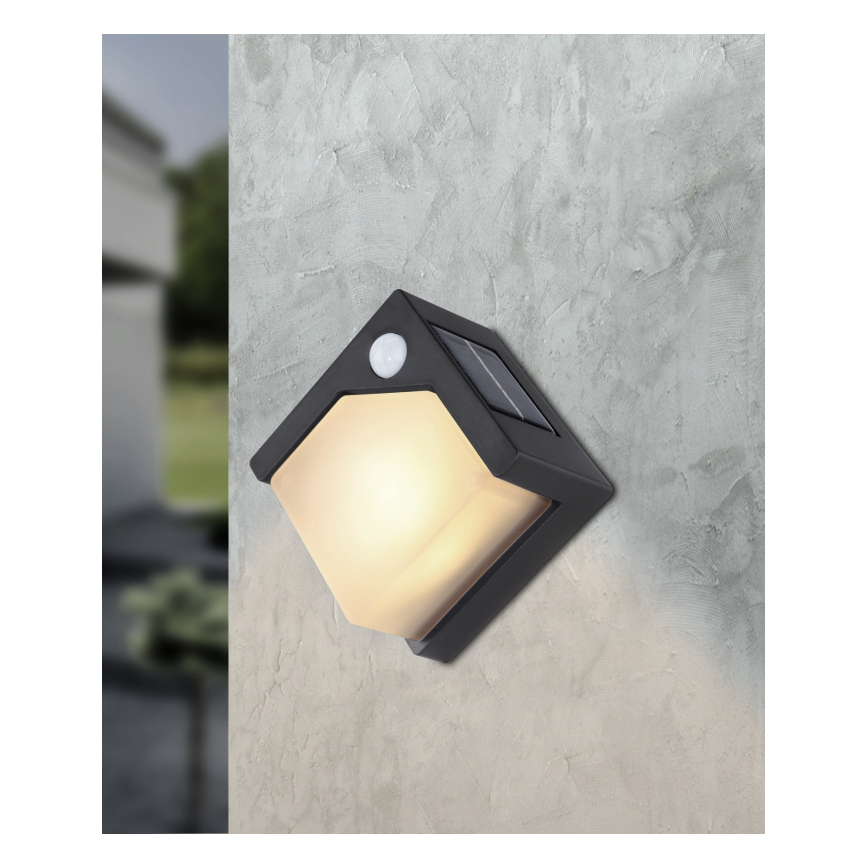 Globo - LED Solárne svietidlo so senzorom LED/0,48W/3V IP44 600 mAh