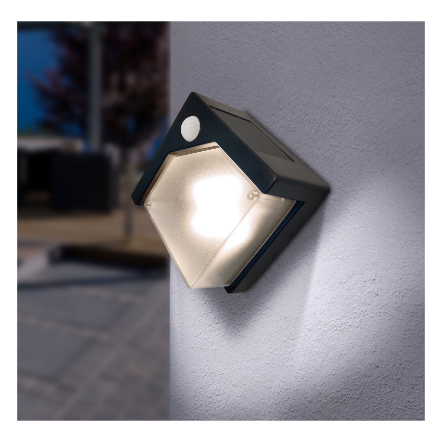 Globo - LED Solárne svietidlo so senzorom LED/0,48W/3V IP44 600 mAh