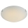GLOBO 40422 - LED Stropné svietidlo PALILA 1xLED/12W/230V