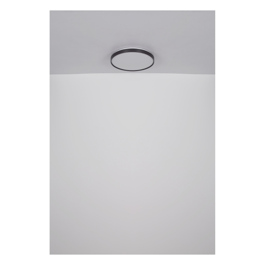 Globo - LED Stropné svietidlo LED/24W/230V