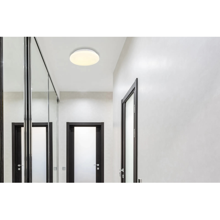 Globo - LED Stropné svietidlo LED/8W/230V 4000K pr. 55 cm