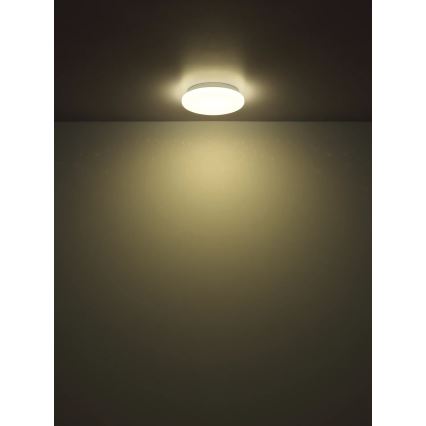 Globo - LED Stropné svietidlo LED/8W/230V 4000K pr. 55 cm