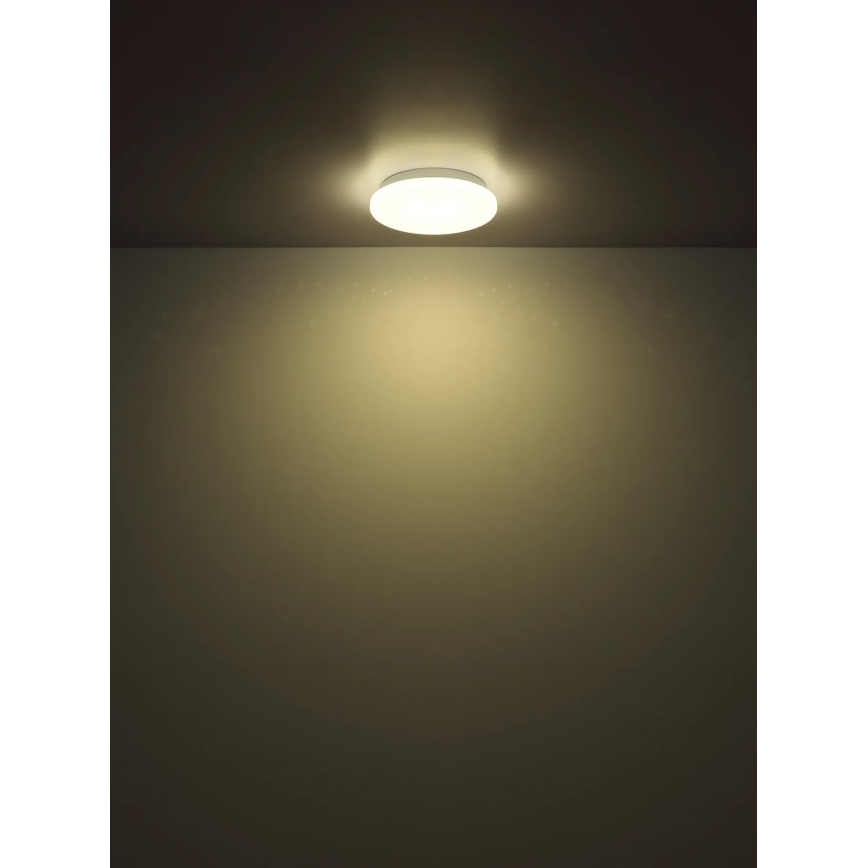 Globo - LED Stropné svietidlo LED/8W/230V 4000K pr. 55 cm