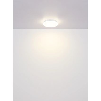 Globo - LED Stropné svietidlo LED/8W/230V 4000K pr. 55 cm