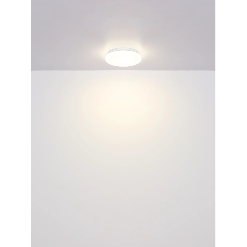 Globo - LED Stropné svietidlo LED/8W/230V 4000K pr. 55 cm