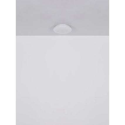 Globo - LED Stropné svietidlo LED/8W/230V 4000K pr. 55 cm