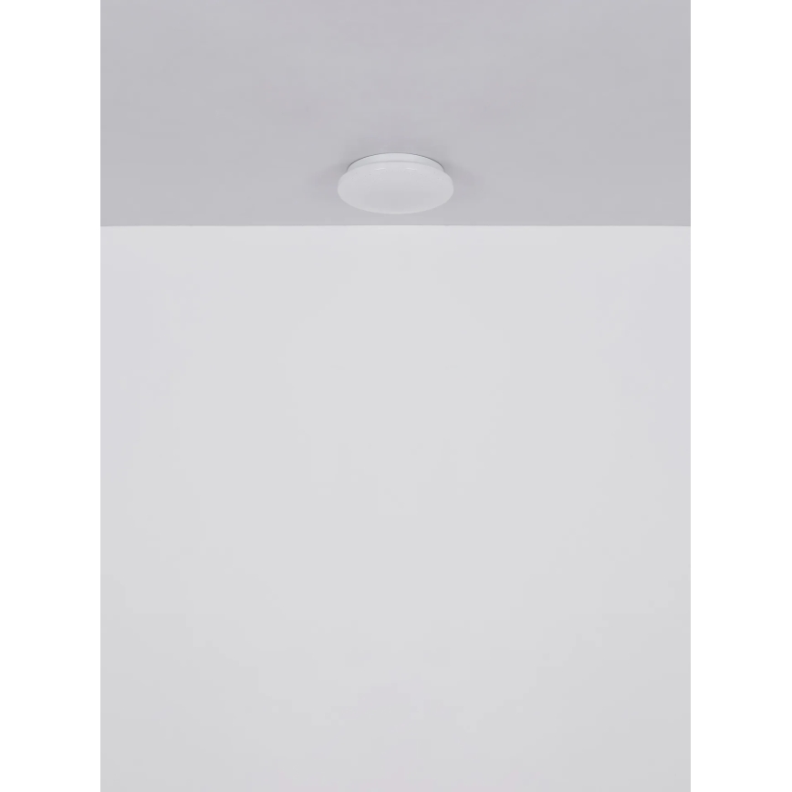 Globo - LED Stropné svietidlo LED/8W/230V 4000K pr. 55 cm