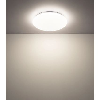 Globo - LED stropné svietidlo LED/12W/230V 3000/4200/6500K pr. 26 cm