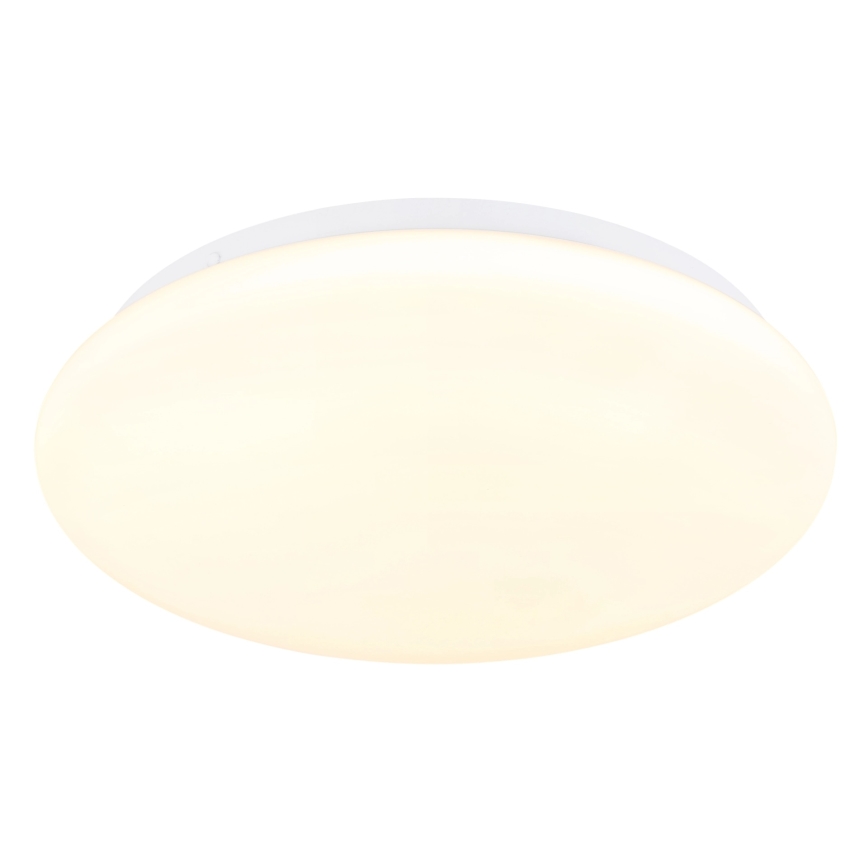 Globo - LED stropné svietidlo LED/12W/230V 3000/4200/6500K pr. 26 cm