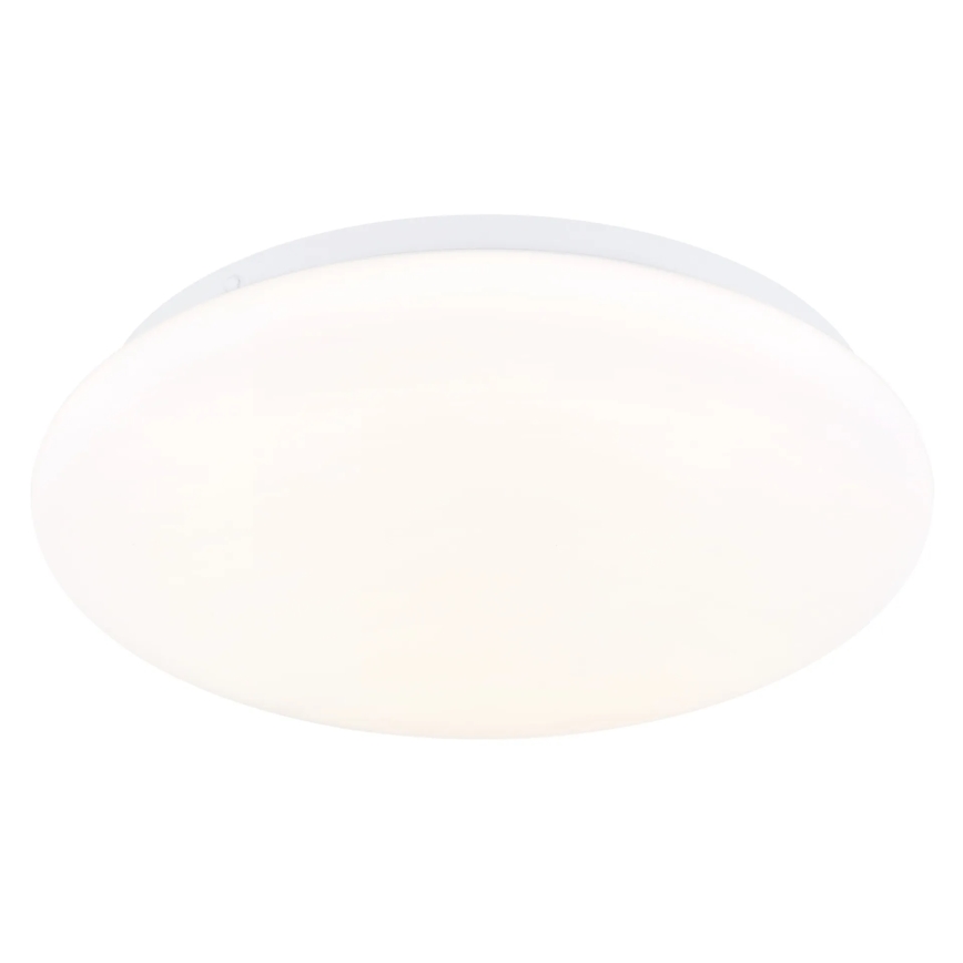 Globo - LED stropné svietidlo LED/12W/230V 3000/4200/6500K pr. 26 cm