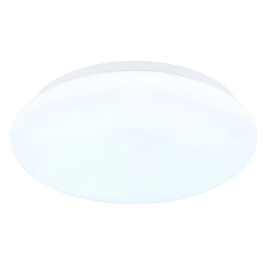 Globo - LED stropné svietidlo LED/12W/230V 3000/4200/6500K pr. 26 cm