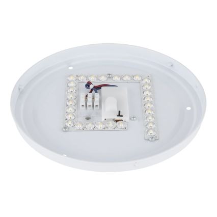 Globo - LED stropné svietidlo LED/12W/230V 3000/4200/6500K pr. 26 cm