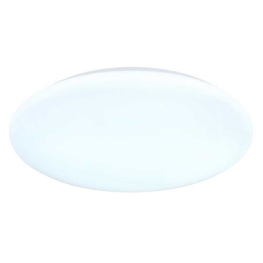 Globo - LED stropné svietidlo LED/24W/230V 3000/4200/6500K priemer 40 cm