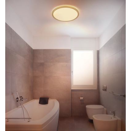 Globo - LED Stmievateľné kúpeľňové stropné svietidlo LED/18W/230V 3000K IP44 pr. 29,4 cm mosadz