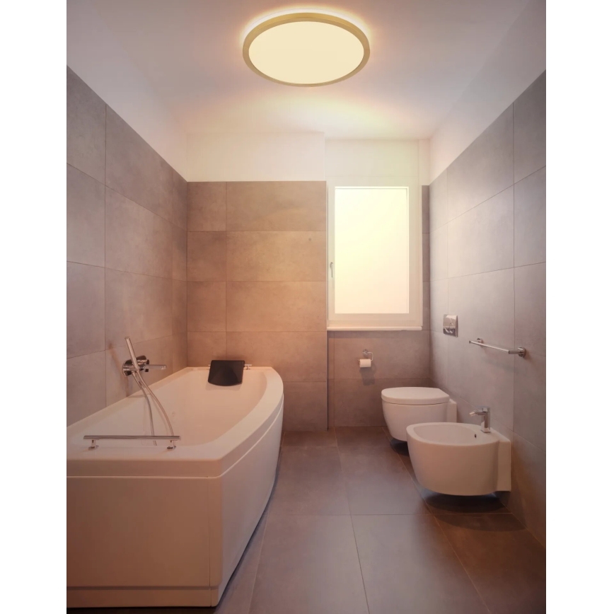 Globo - LED Stmievateľné kúpeľňové stropné svietidlo LED/24W/230V 3000K IP44 pr. 42 cm mosadz