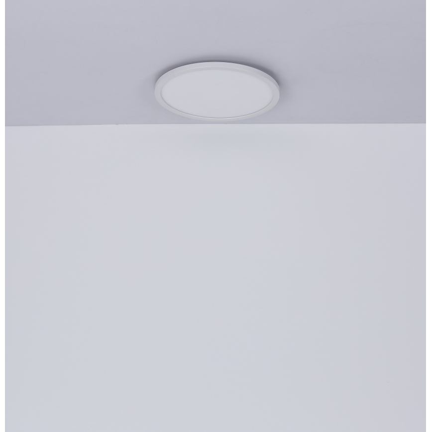 Globo - LED Stmievateľné kúpeľňové stropné svietidlo LED/24W/230V pr. 42 cm IP44 biela