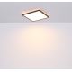 Globo - LED Stmievateľné kúpeľňové stropné svietidlo LED/18W/230V 29,4x29,4 cm IP44 čierna