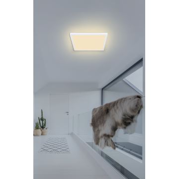 Globo - LED Stmievateľné kúpeľňové stropné svietidlo LED/18W/230V 29,4x29,4 cm IP44 biela