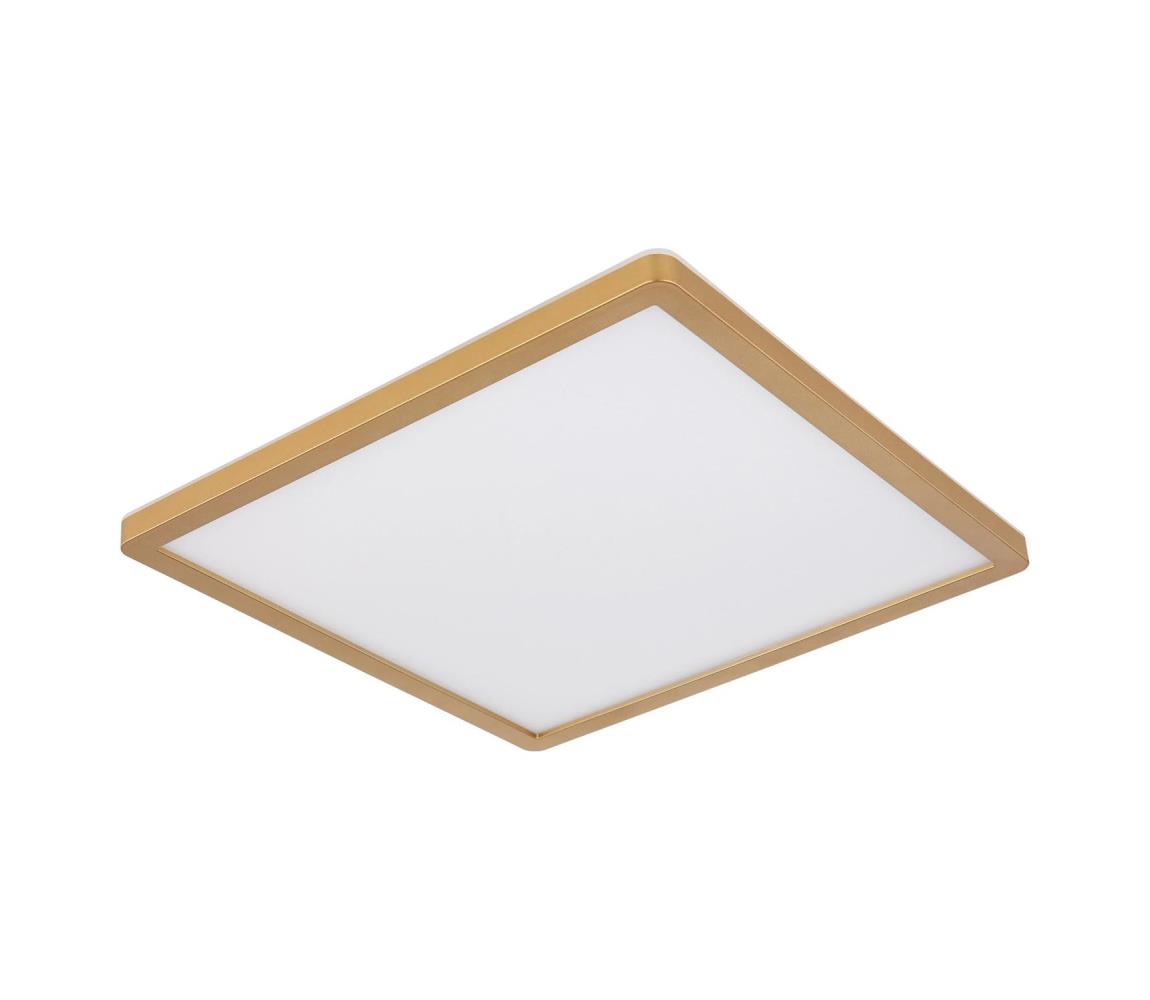 Globo Globo 41563-24MM - LED Stm. strop. svietidlo SAPANA LED/24W/230V IP44 
