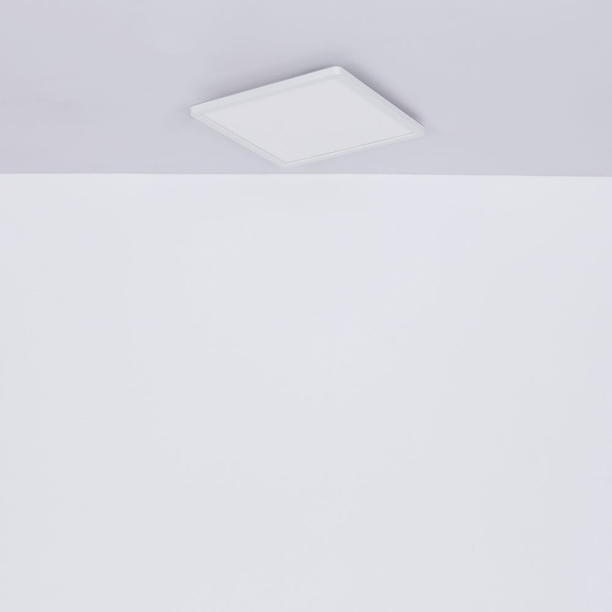 Globo - LED Stmievateľné kúpeľňové stropné svietidlo LED/24W/230V 42x42 cm IP44 biela