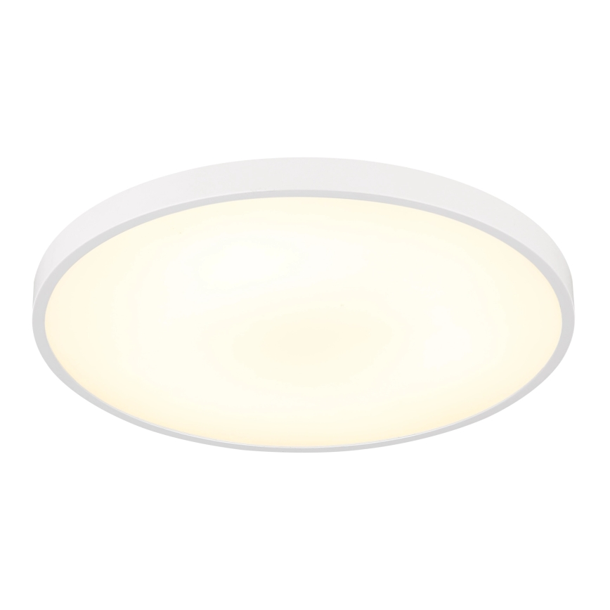 Globo - LED stropné svietidlo LED/15W/230V 4000K pr. 23 cm biele