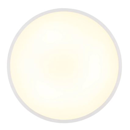 Globo - LED stropné svietidlo LED/15W/230V 4000K pr. 23 cm biele