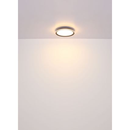 Globo - LED Stropné svietidlo LED/30W/230V pr. 30 cm