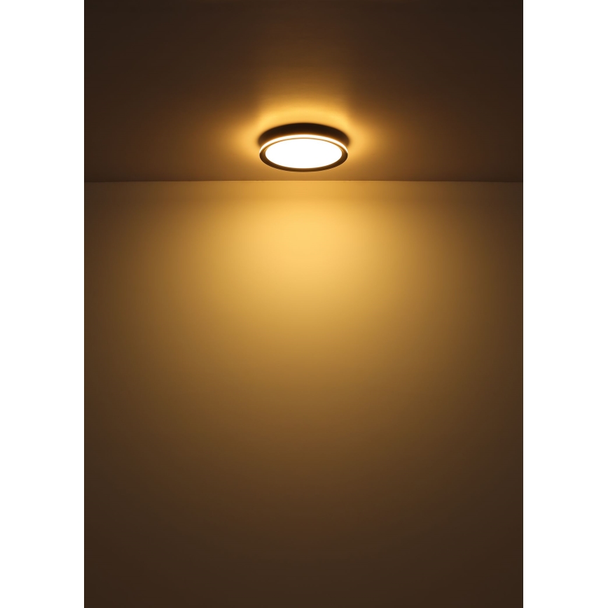 Globo - LED Stropné svietidlo LED/39W/230V pr. 40 cm