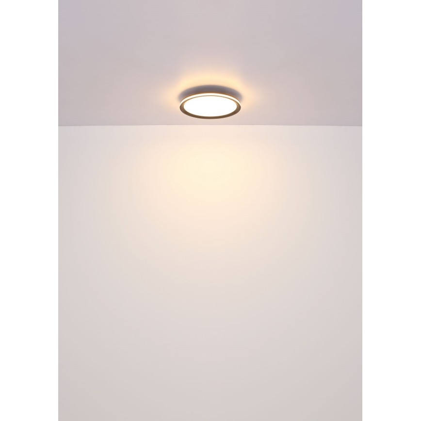 Globo - LED Stropné svietidlo LED/39W/230V pr. 40 cm