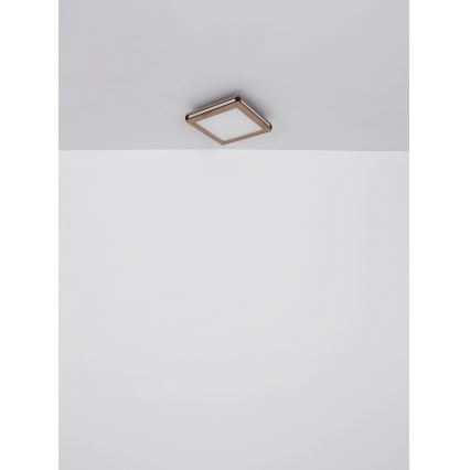 Globo - LED Stropné svietidlo LED/12W/230V 30x30 cm