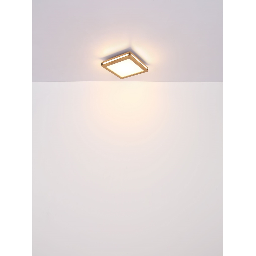 Globo - LED Stropné svietidlo LED/24W/230V 45x45 cm