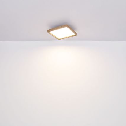 Globo - LED Stropné svietidlo LED/12W/230V 2700/4500/6500K 30x30 cm